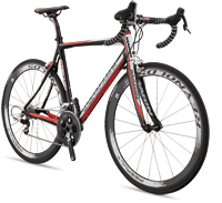 MARIN-2012-PROFIT-STELVIO_RED-PV.png
