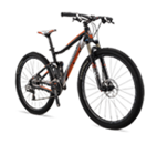 Quad XC 100 29ER